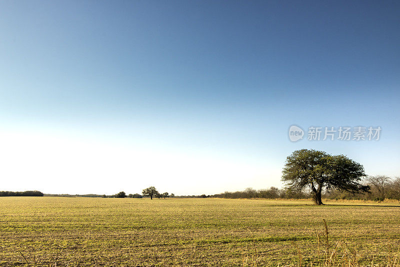 农业和畜牧业在潮湿的Pampa, Córdoba，阿根廷